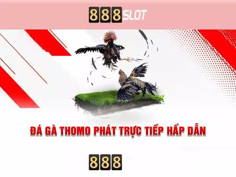 888SLOT – Trải Nghiệm Slot Đỉnh Cao Với 888 Slot 2026