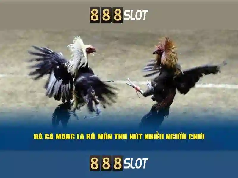 Hướng Dẫn Truy Cập