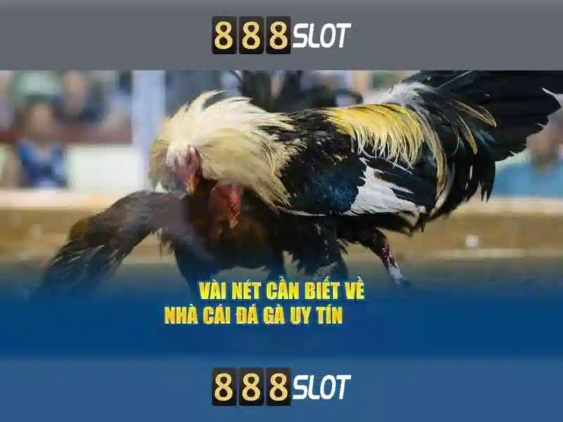 Tải 888slot APK