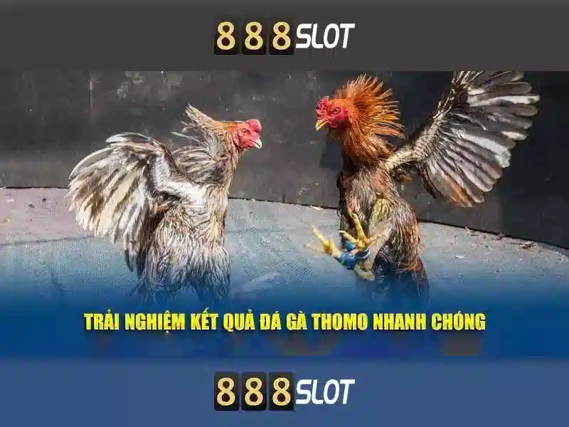 Trải nghiệm cá cược đỉnh cao