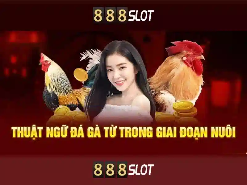 Hướng dẫn chơi slot