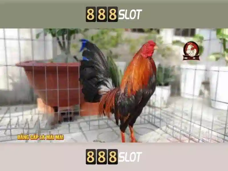 Tải Game Slot