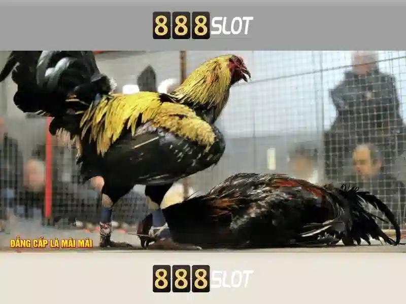Ưu Đãi 888slot