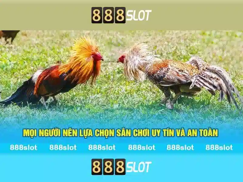 Khám Phá Tính Năng Mới