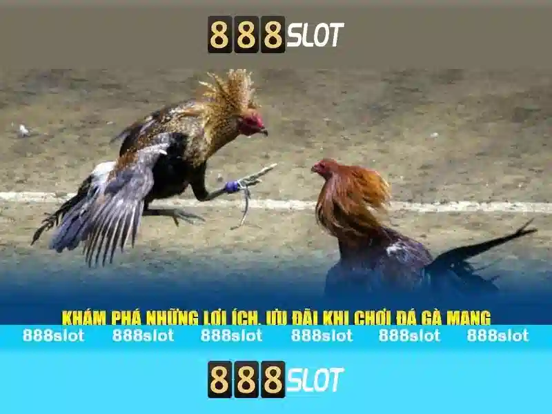 Trải Nghiệm Slot Game Đỉnh Cao