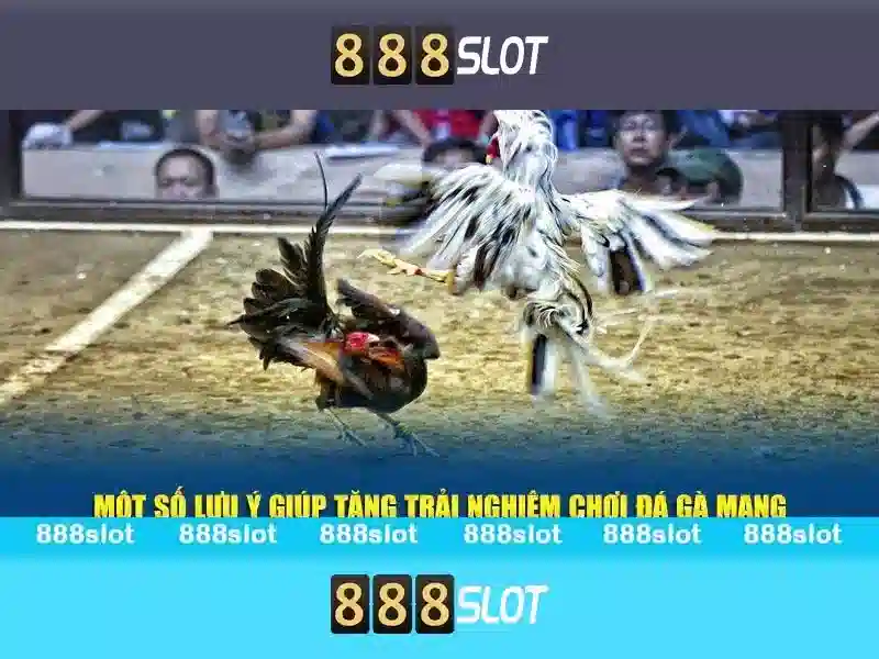 Trải Nghiệm Cá Cược Đỉnh Cao