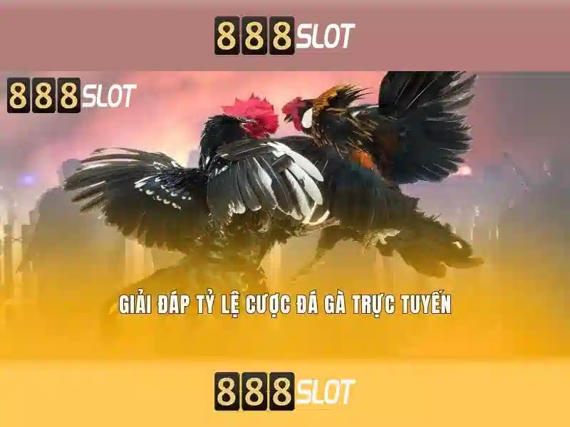 888SLOT – Ứng Dụng 888slot APK Tối Ưu Cho Người Chơi Slot 2026