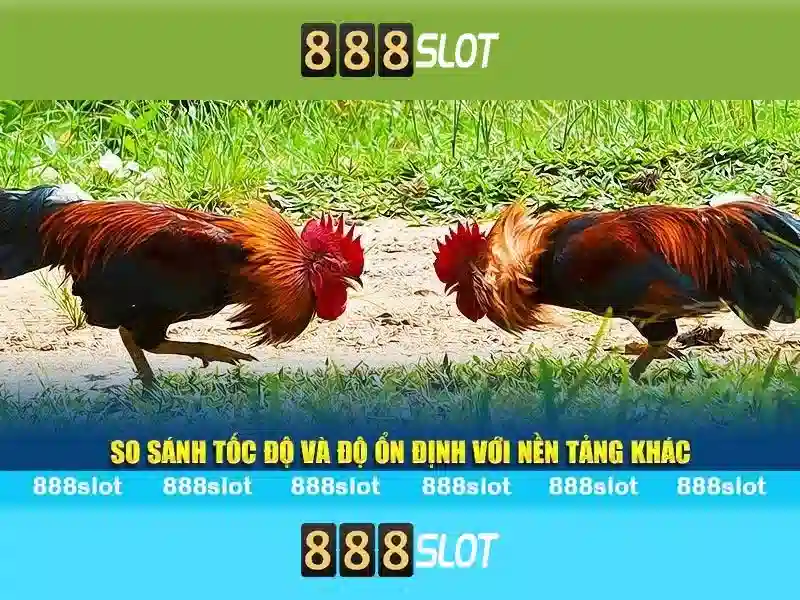 888SLOT – Trải Nghiệm Slot Đỉnh Cao Với Dịch Vụ Chuyên Nghiệp