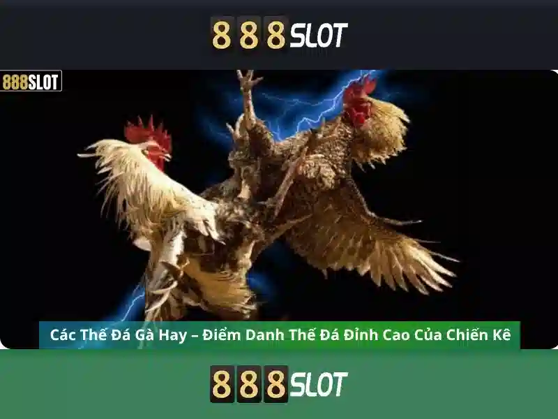Bổ Sung Tính Năng 888slot apk ios