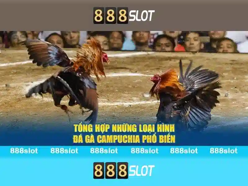 888slot app – Trải nghiệm trò chơi SLOT
