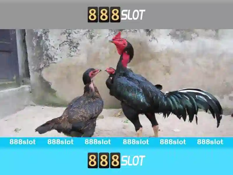 Đa dạng trò chơi Slot