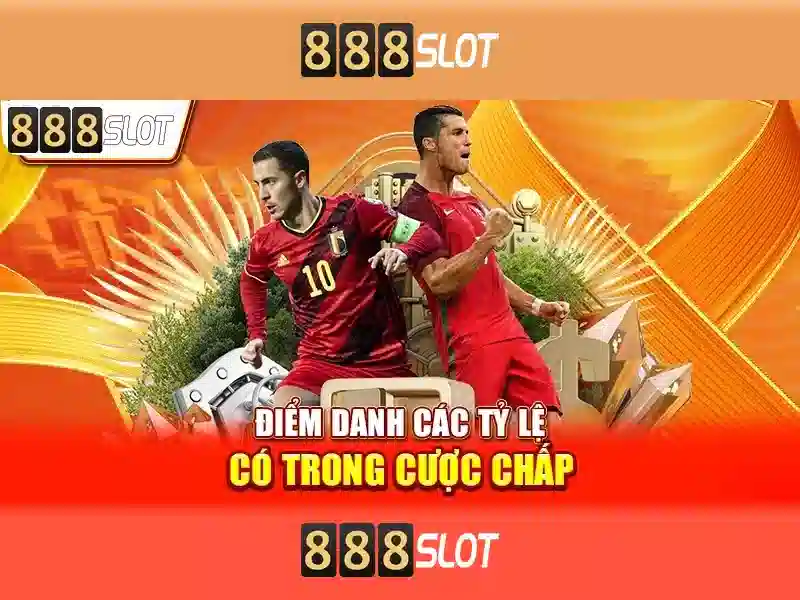 Đặc Điểm Nổi Bật