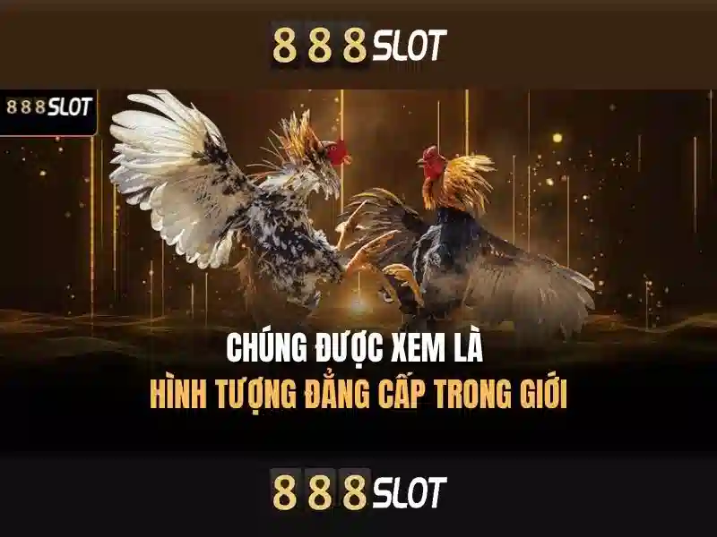 Kho game slot 888SLOT