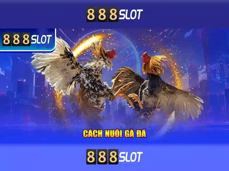 Hướng Dẫn Đăng Nhập 888slot Freebet Login