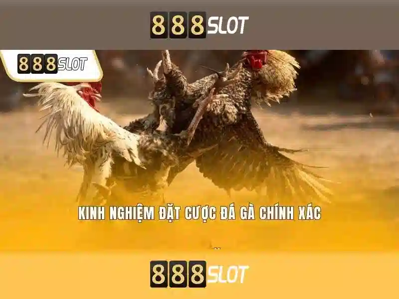 Hướng Dẫn Tải App 888SLOT