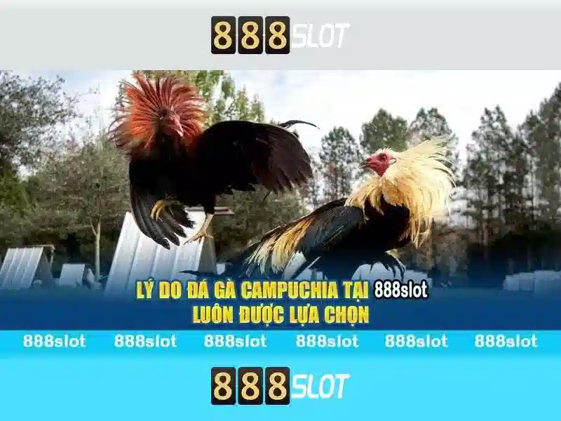Trải Nghiệm Slot Đỉnh Cao