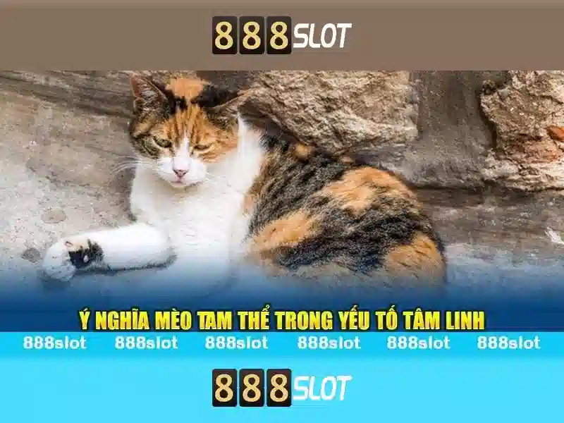 Tải 888slot