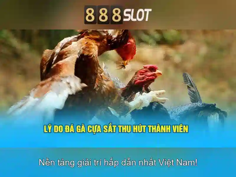 888SLOT – Trang Chủ 888SLOT | Slot RTP, Casino, Thể Thao | Đặt Cược Trực Tuyến 2026