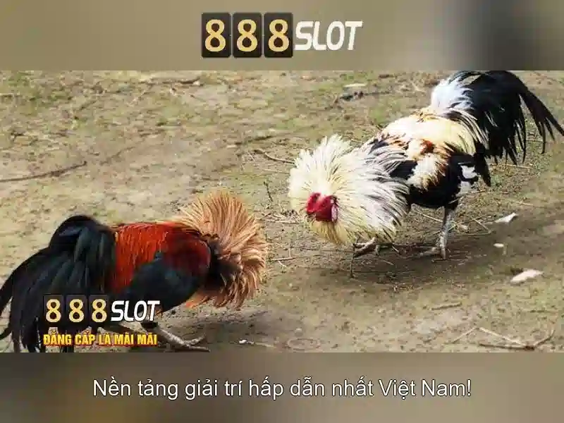 888slot đăng nhập – Dễ Dàng Và An Toàn