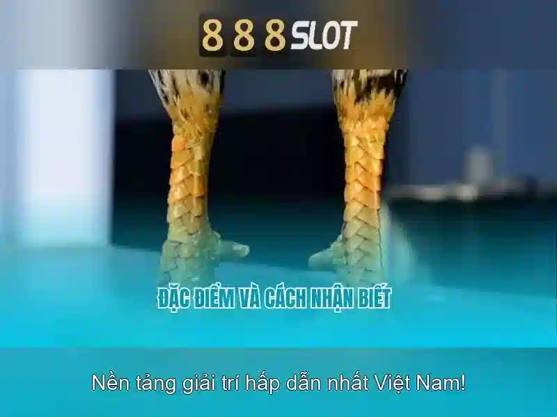 Tính năng vượt trội