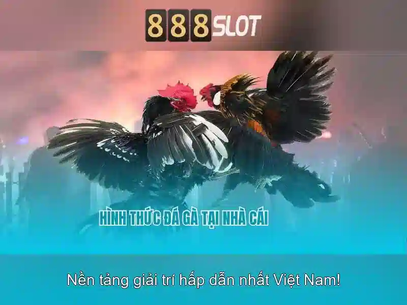 Trải nghiệm cá cóc 888SLOT